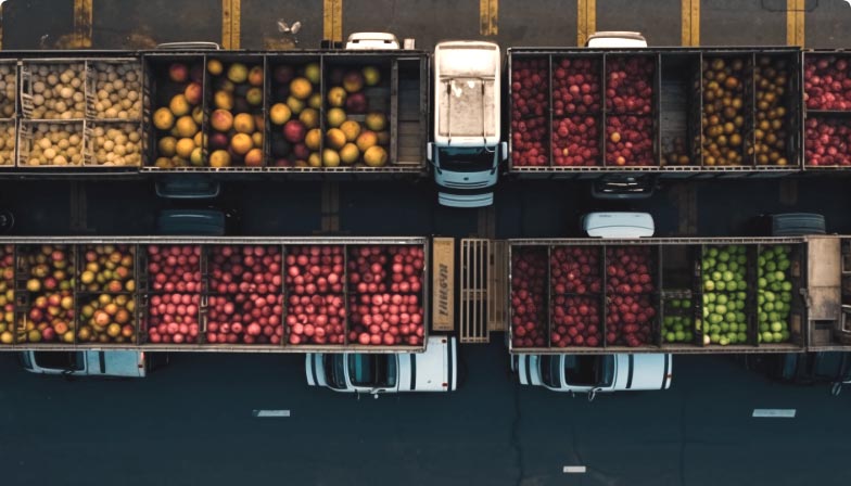 农产品质量安全综合服务解决方案