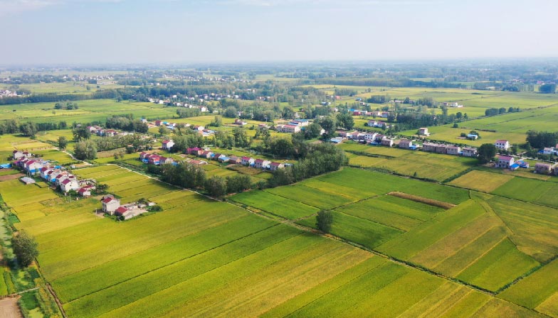 高标准农田场景