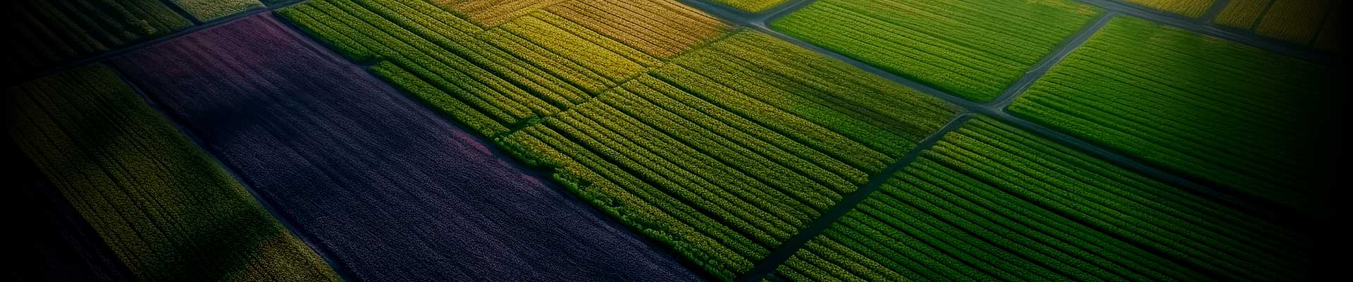 农业全产业链信息化解决方案,以大数据知识图谱、数字孪生和遥感技术等高新技术为驱动引擎,打通数据链、延伸产业链和提升价值链,赋能农业三产