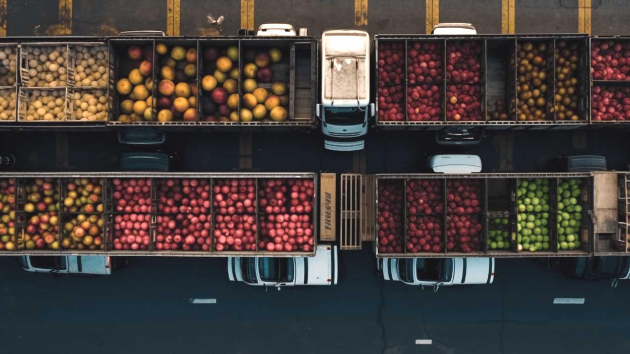 农产品质量安全综合服务解决方案