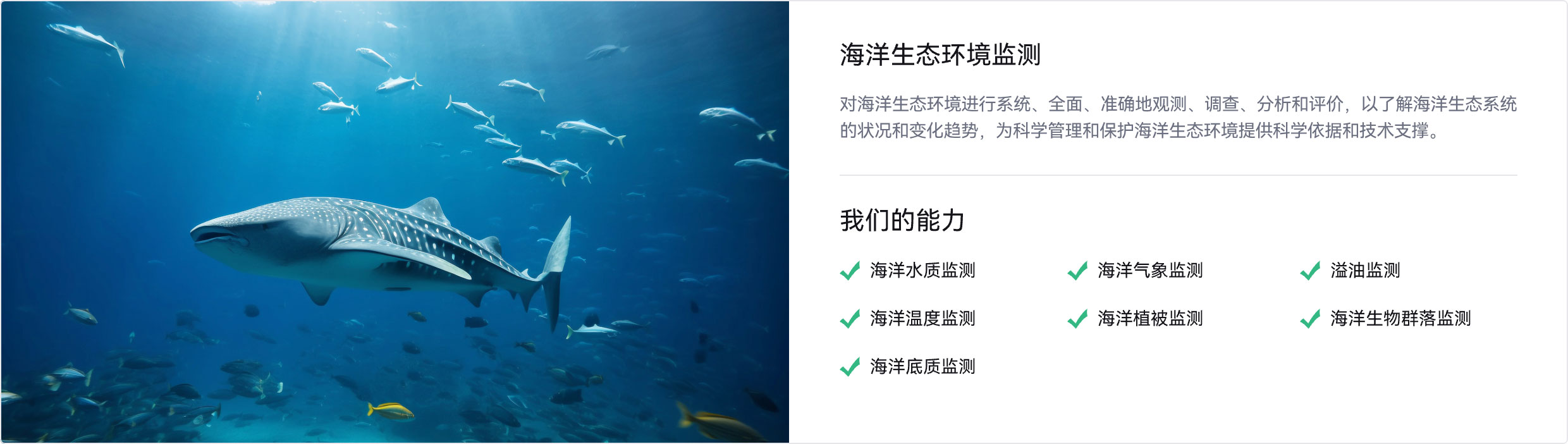 海洋生态,水质,温度,气象,植被,生物群,海洋监测