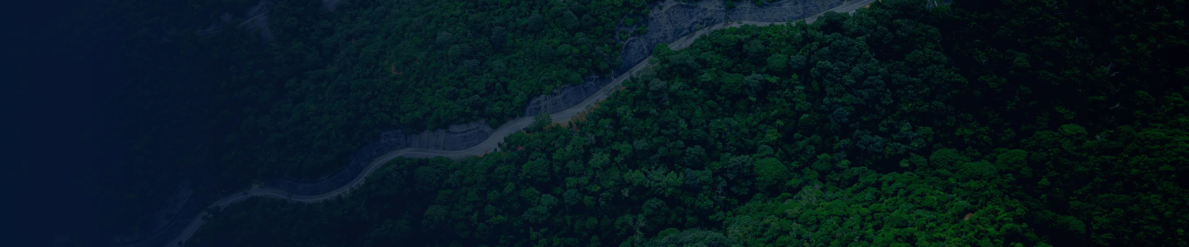 林草一体化监测,林草监测,防火监测预警,有害生物防治,林长制,安全防火