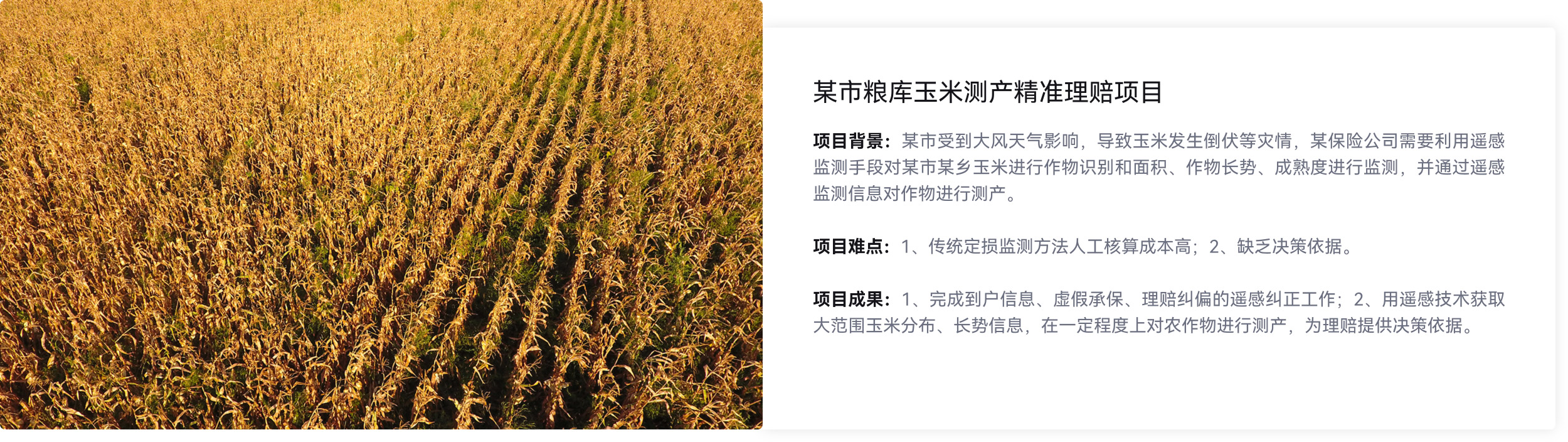玉米通过遥感监测进行产品评估