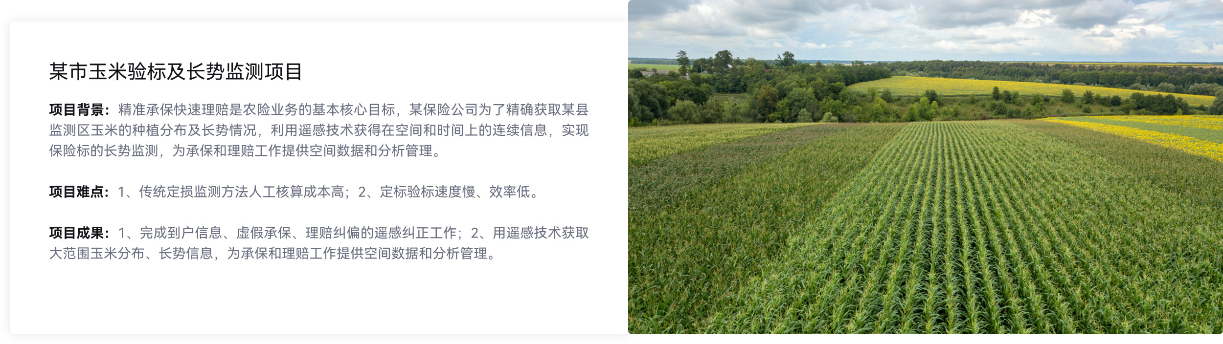 玉米通过遥感监测长势